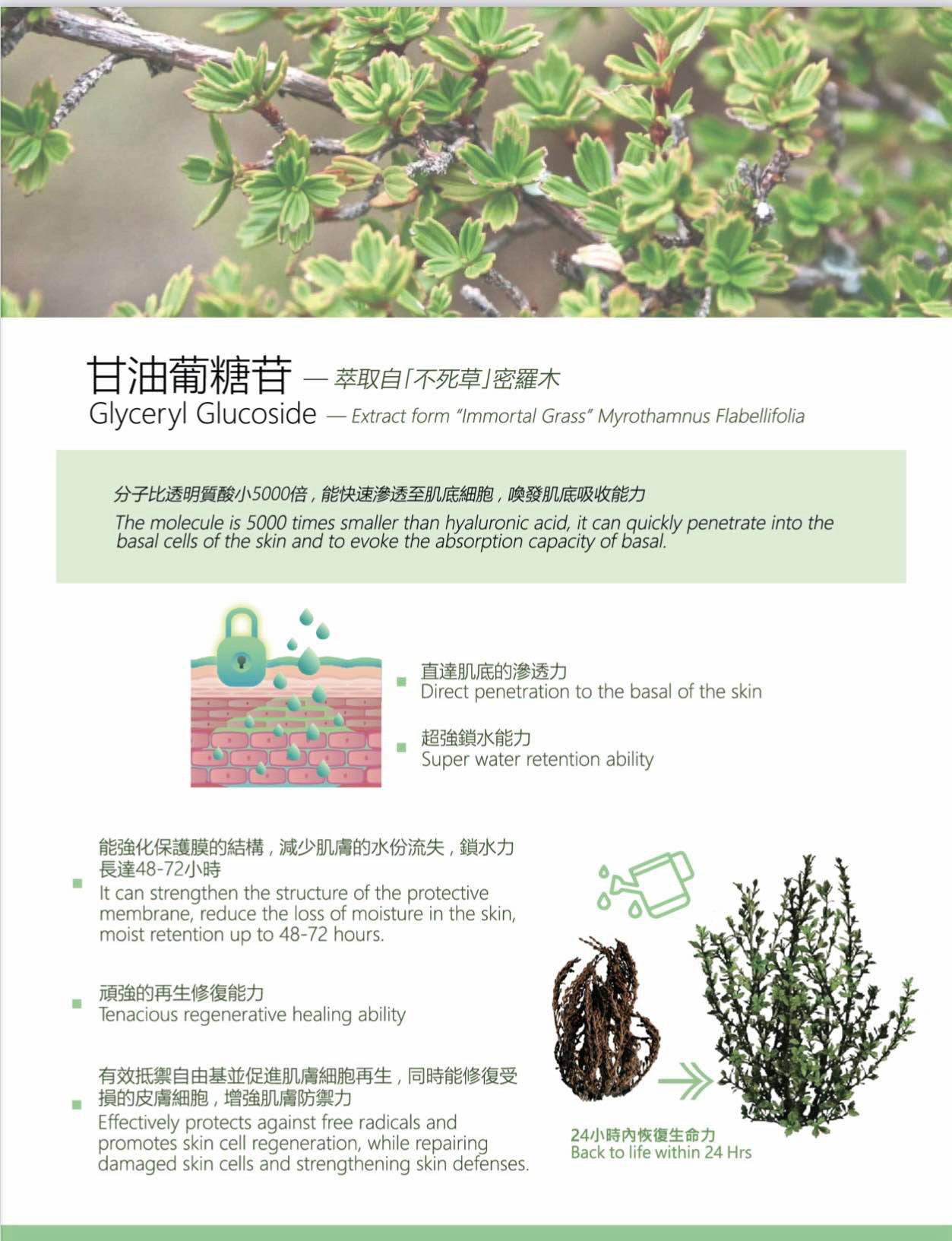 注活水感肌底原液 Restoring Complex Booster